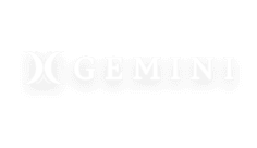 Gemini | Vivamaxwin